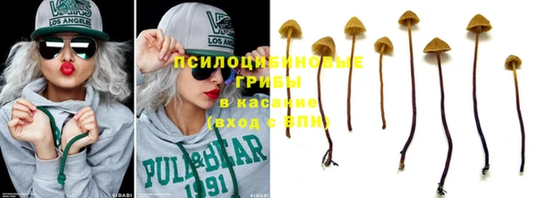 ешки Алексеевка
