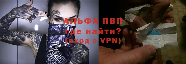 стаф Алексин