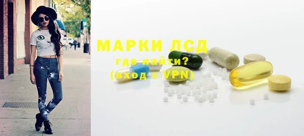 стаф Алексин