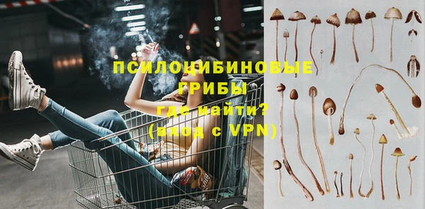 стаф Алексин