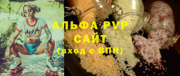 стаф Алексин