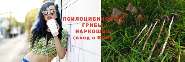 стаф Алексин